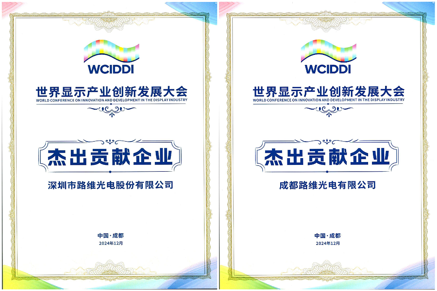 20241218世界显示产业创新发展大会“杰出贡献企业”奖
